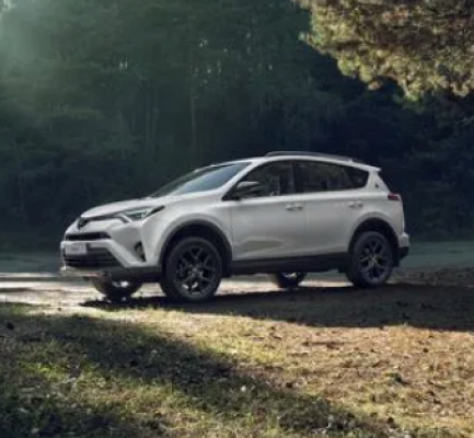 Ремонт Бронирование Кузова И Стекла Toyota RAV4 2016-2019